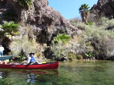 wBC-2012 Kathy Olson Day2-1 Dave R and palm.jpg (182998 bytes)